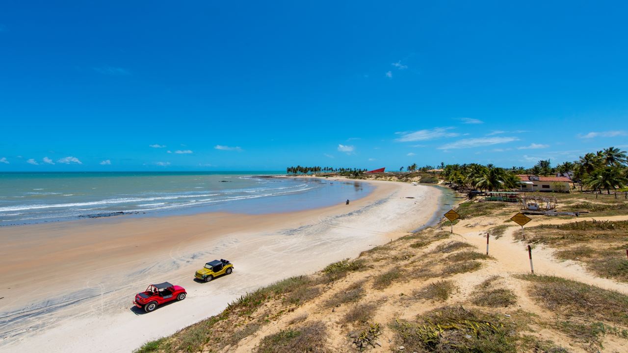 Tour À Maracajaú Com Passeio De Catamarã foto 4