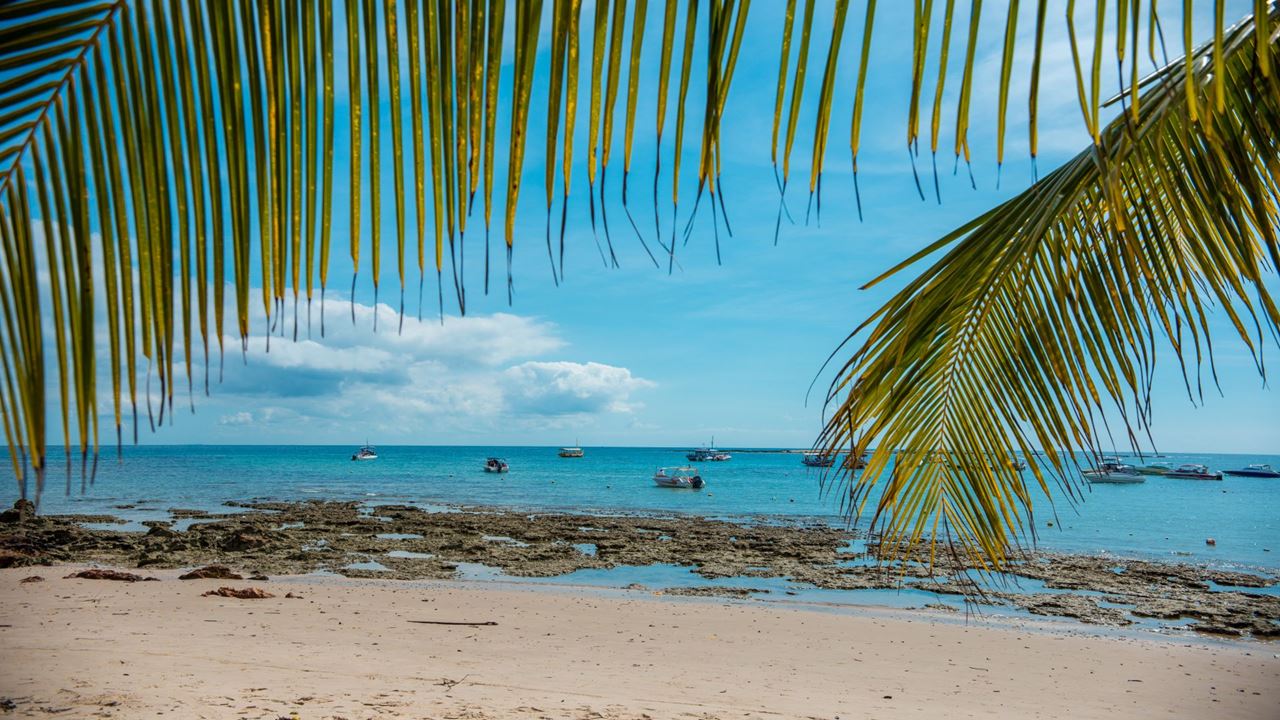 Passeio A Morro De São Paulo foto 4