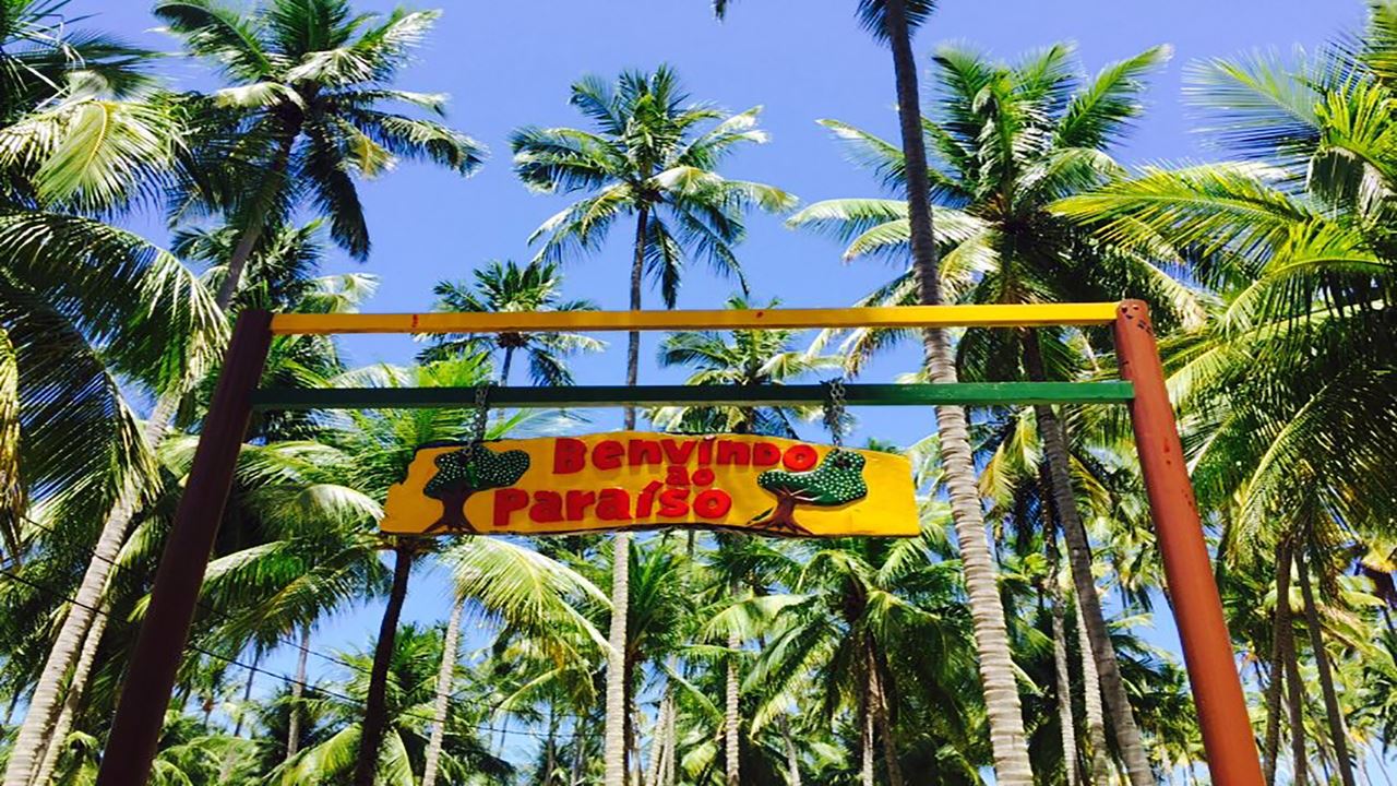 Passeio À Praia Dos Carneiros Com Catamarã foto 6