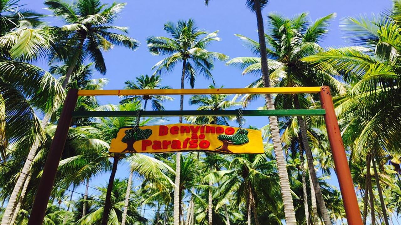 Passeio À Praia Dos Carneiros Com Catamarã foto 2