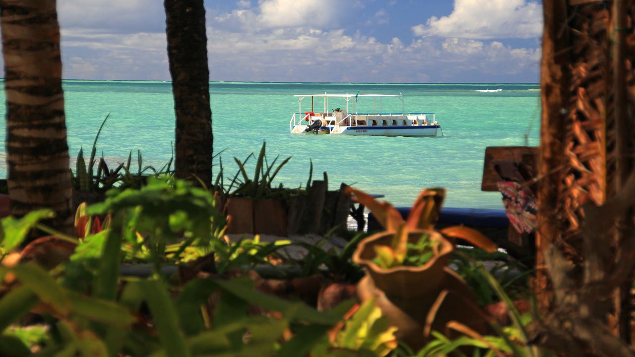 Passeio À Praia De Paripueira foto 5