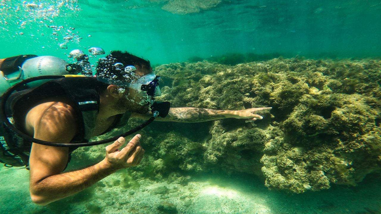 Passeio À Praia De Paripueira foto 1