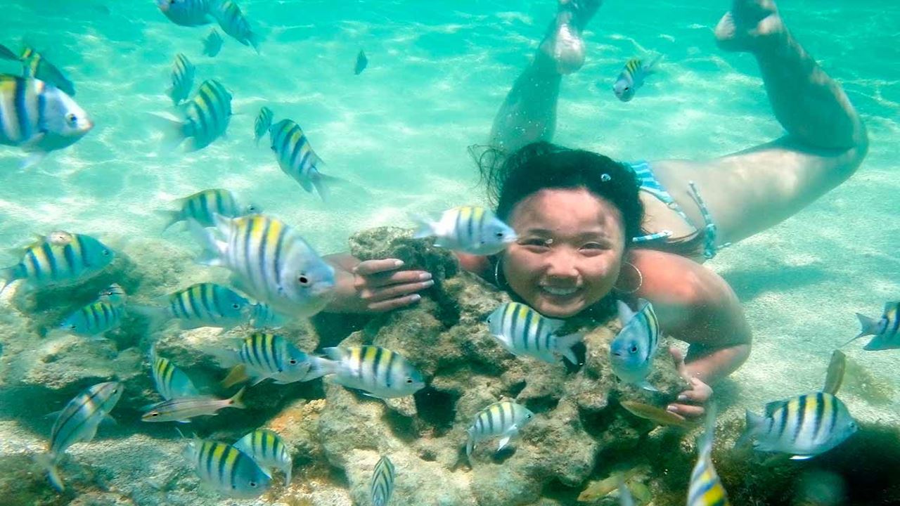 Passeio À Praia De Paripueira foto 2