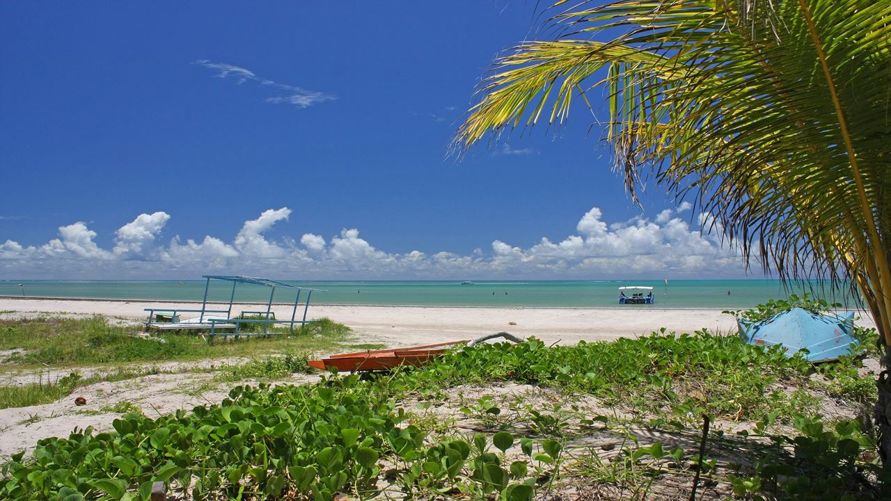 Passeio À Praia De Paripueira foto 7