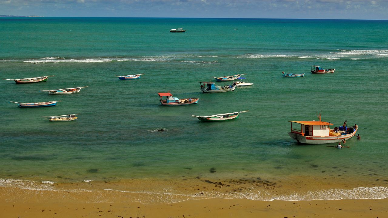 Tour A Playa De Pipa foto 12
