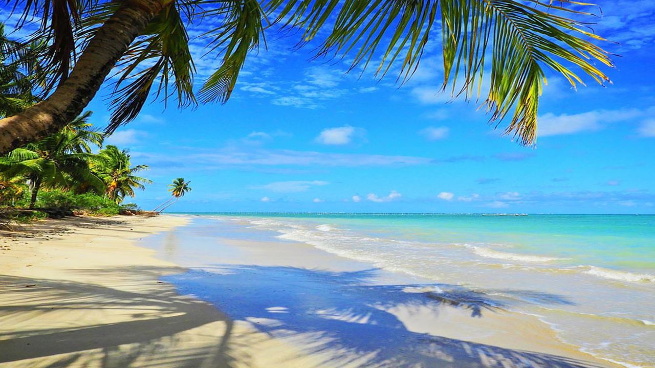 Tour A São Miguel Dos Milagres foto 3