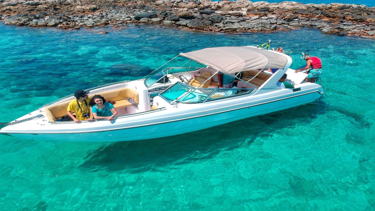 Meia Volta À Ilha foto 2