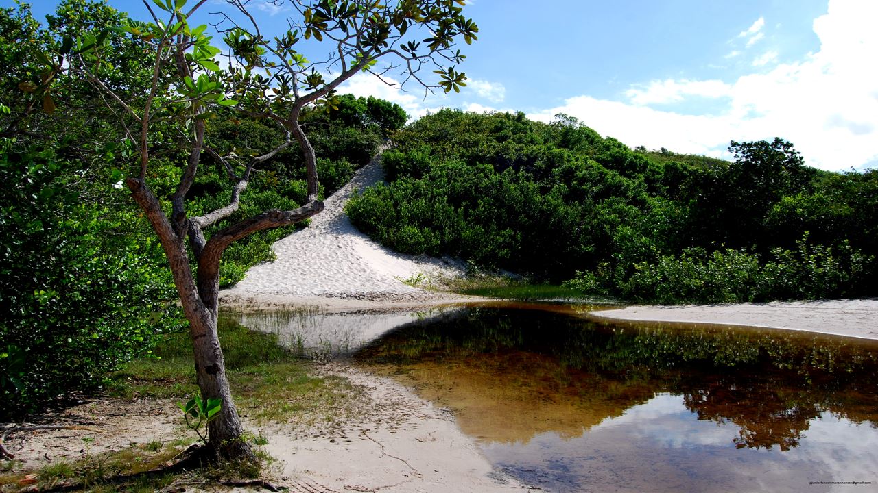 Passeio 4x4 À Lagoa Bonita (Grandes Lençóis) foto 7