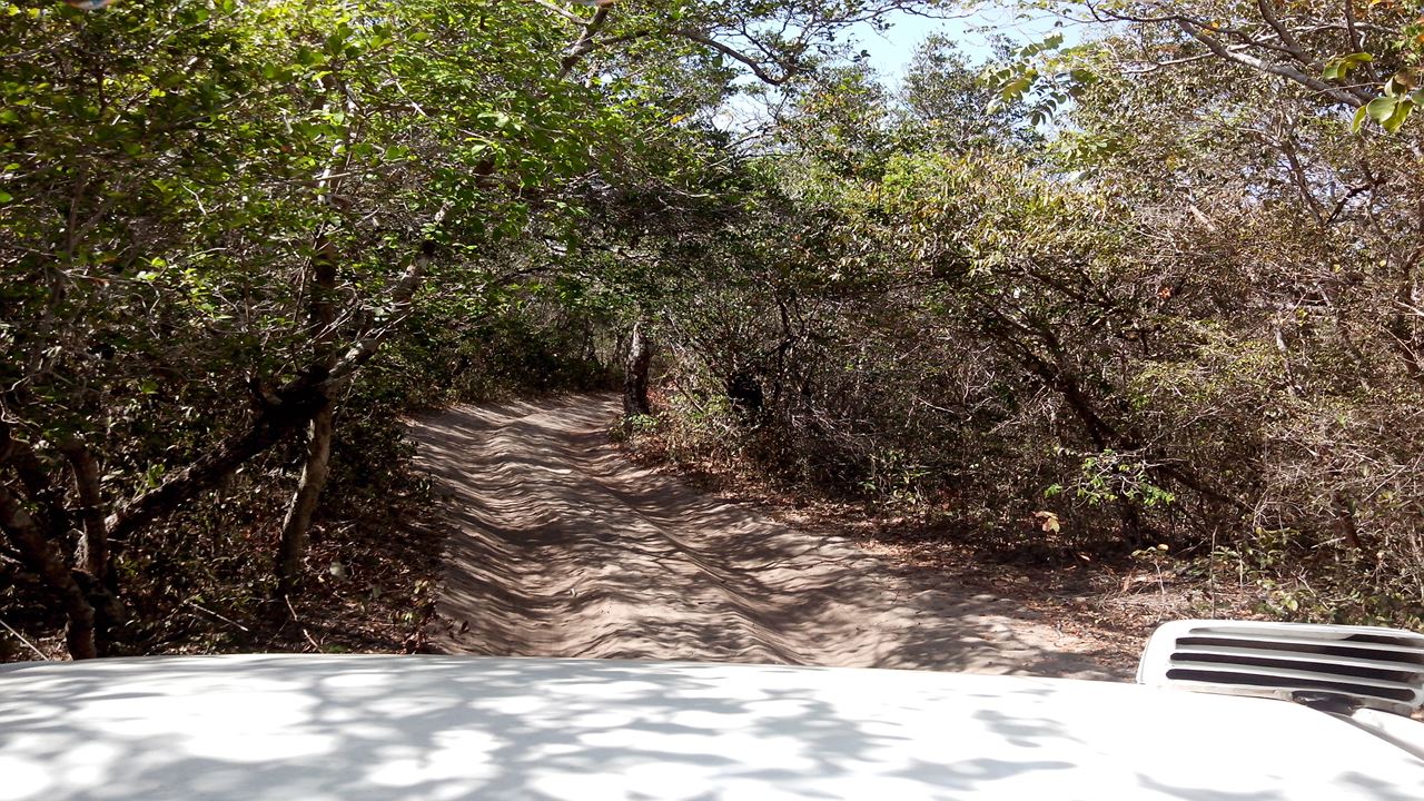 Passeio 4x4 Ao Canto De Atins foto 4