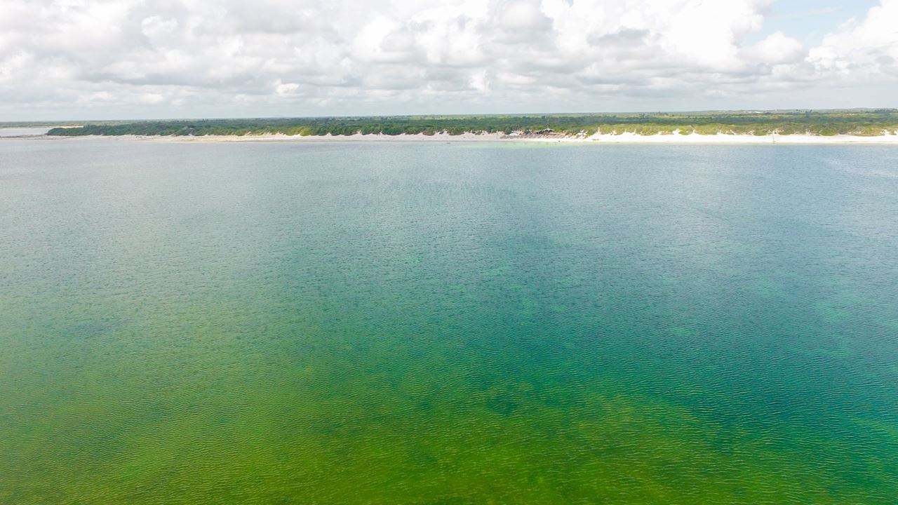 Tour Privado De Buggy A Laguna Paraíso foto 5