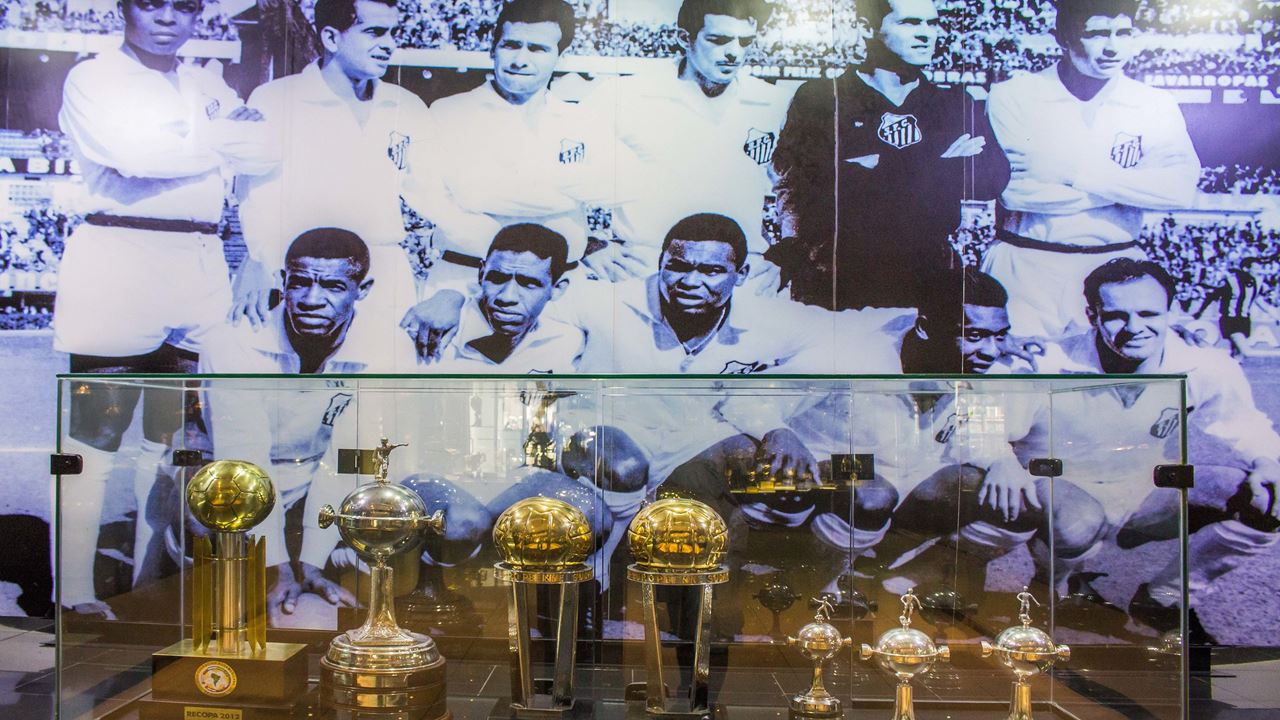 Tour Privado En Santos: La Historia De Pelé foto 6