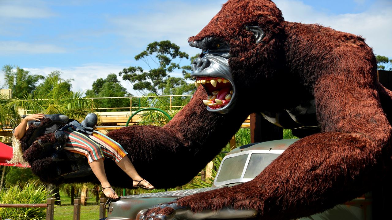 Transporte Ao Beto Carrero World foto 3