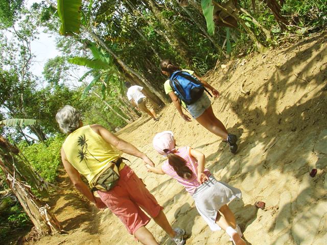 Caminho Do Ouro Hike From Paraty Cunha