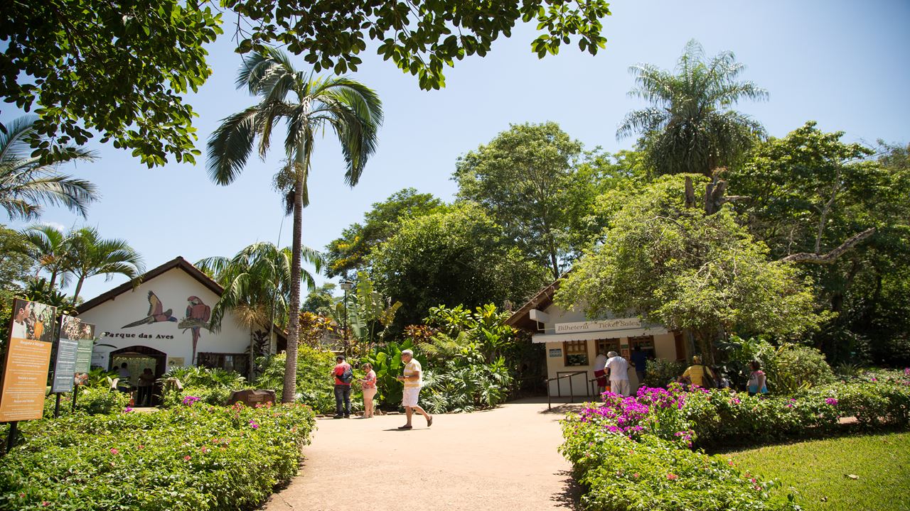 Excursión Al Parque De Las Aves